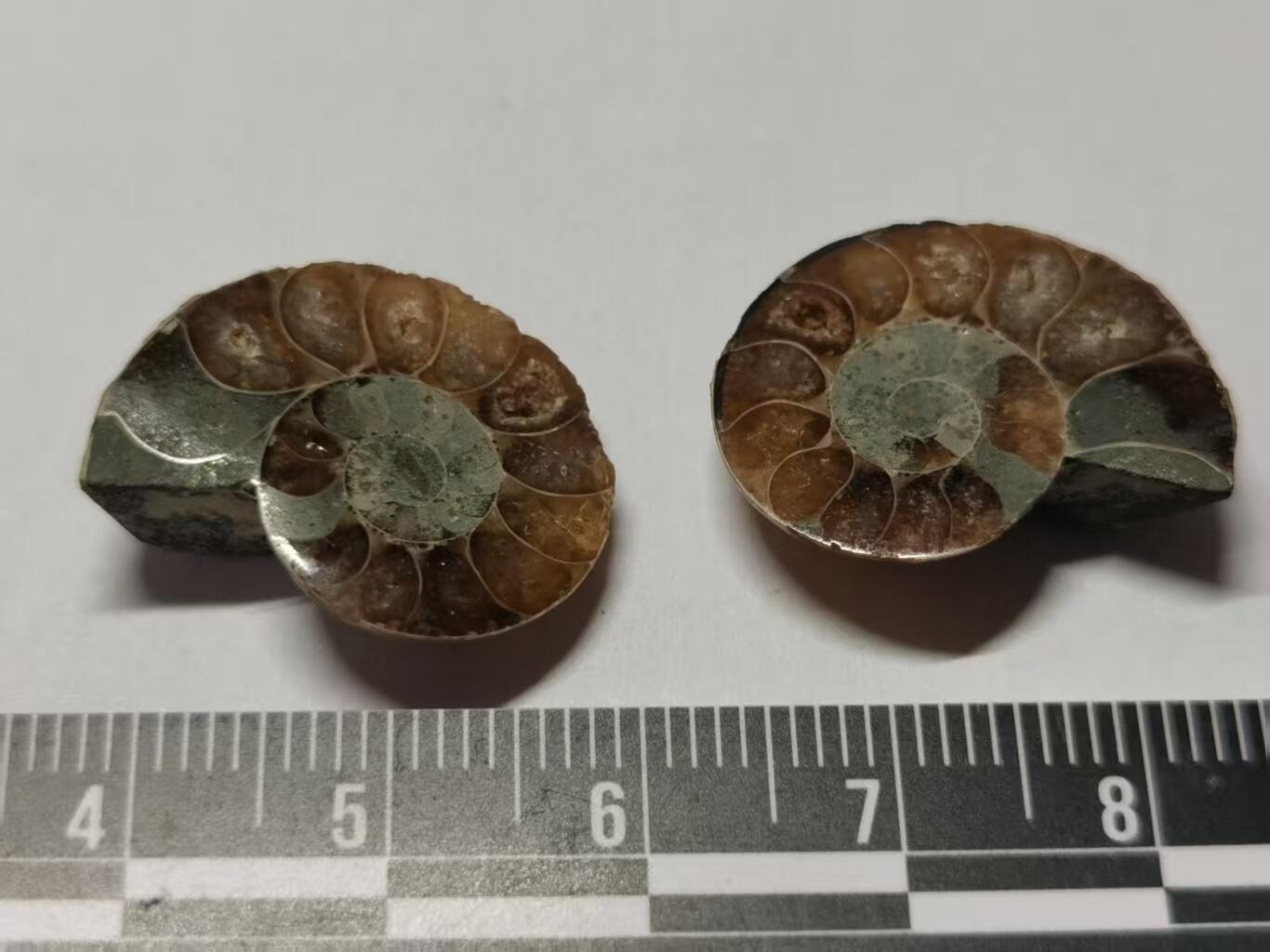 七河·世界世界币章杂件小拍（总第40期）