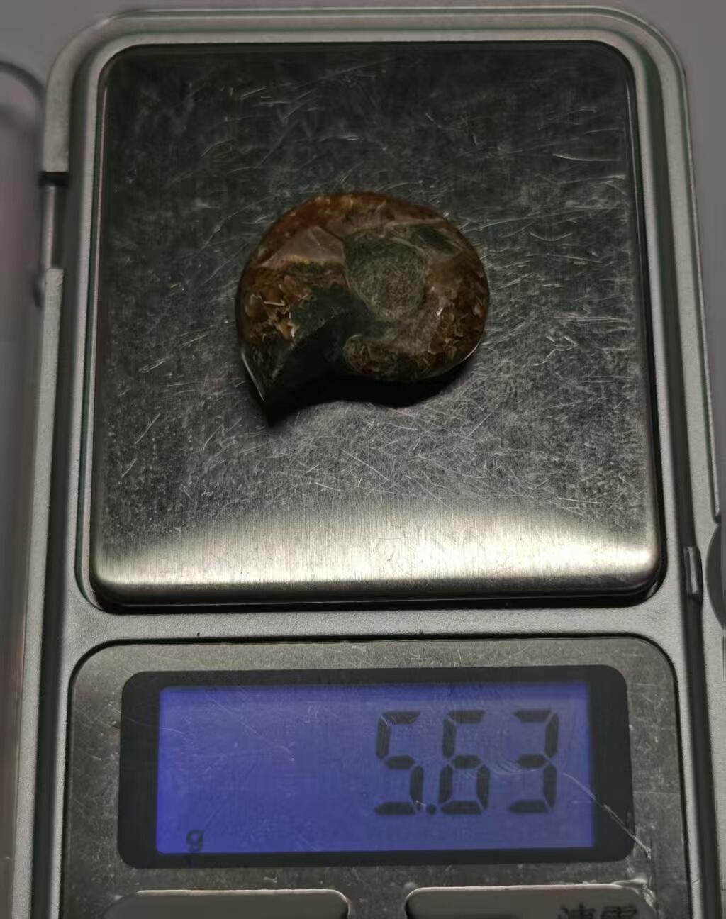 七河·世界世界币章杂件小拍（总第40期） 藏家出品X762（3）马达加斯加中生代菊石化石 本件拍品由合作藏家邮寄