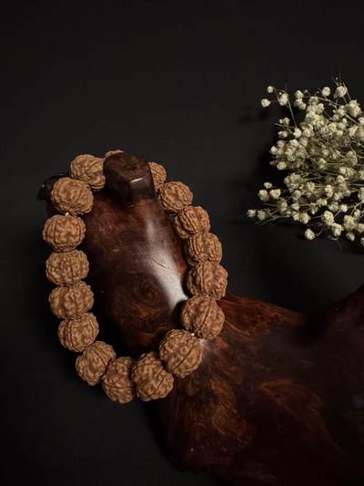 零元拍：超大超肉红皮帝王花金刚菩提手持，20MM左右 - 零元拍：超大超肉红皮帝王花金刚菩提手持，20MM左右