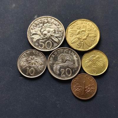 【全场包邮】纯粹捡漏拍508场 - 新加坡1993-1996年欢笑花版6枚套币