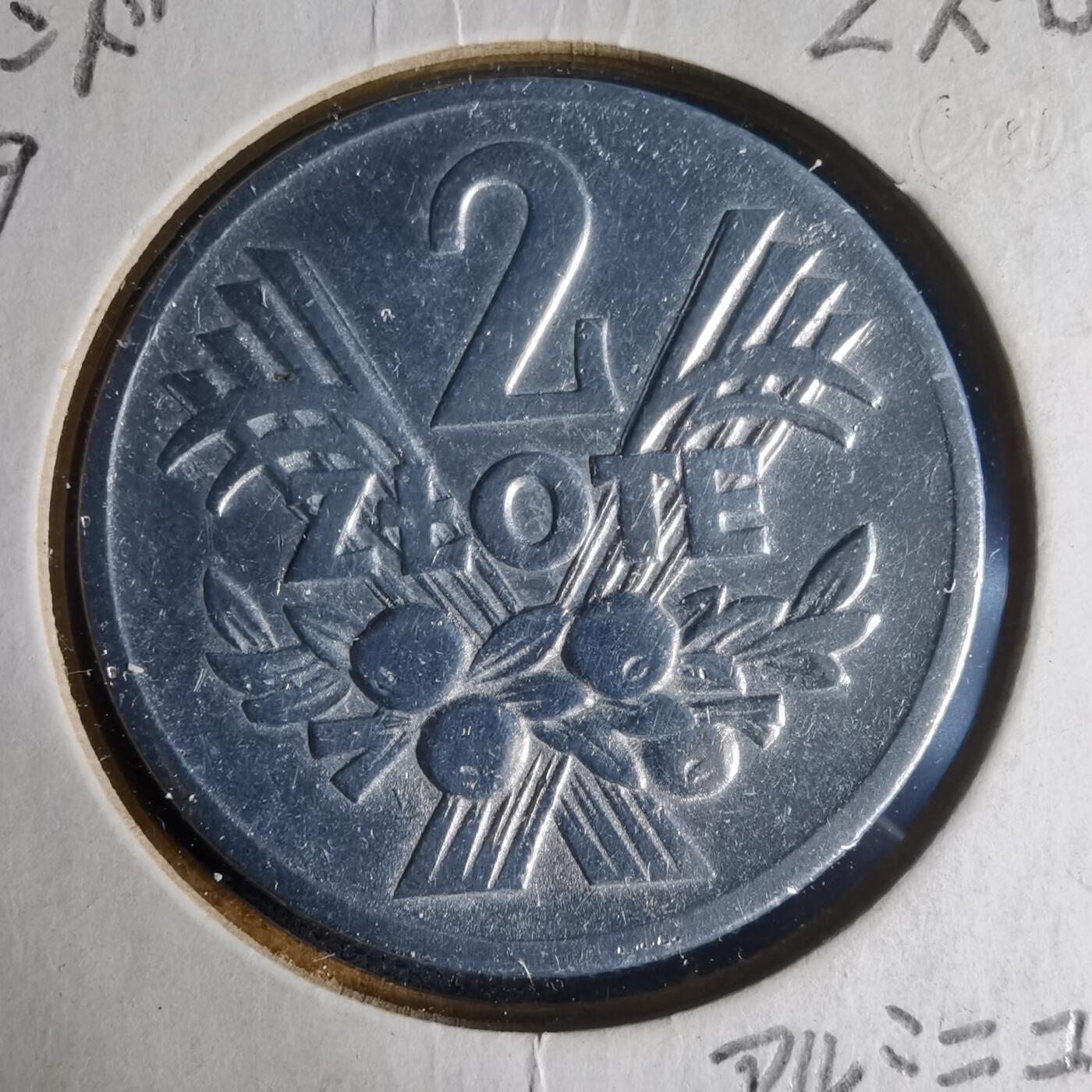 沼泽如烟--第1013场