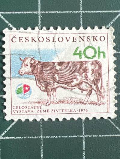 第1130  邮票专场 （无押金，捡漏，全场50包邮，偏远地区除外，接收代拍业务，本店十天发一次货） - 捷克斯洛伐克邮票