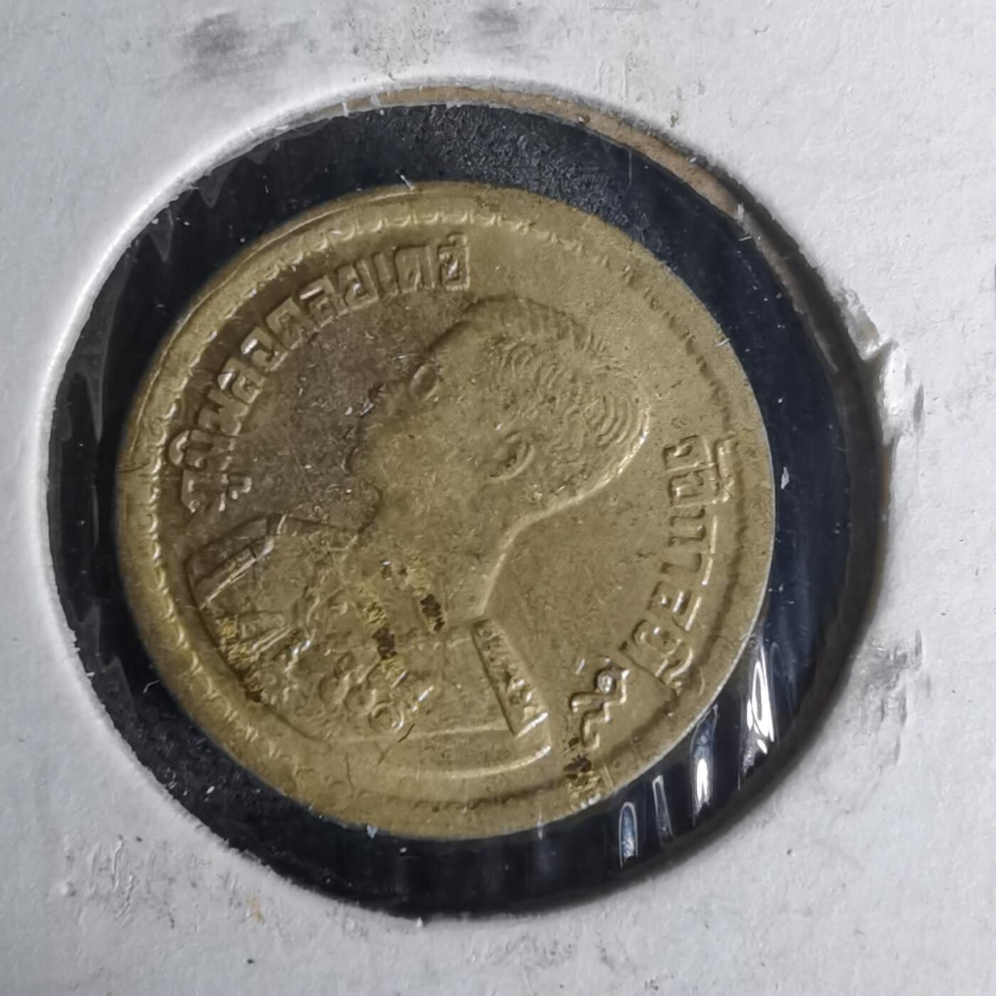 沼泽如烟--第1012场 泰国