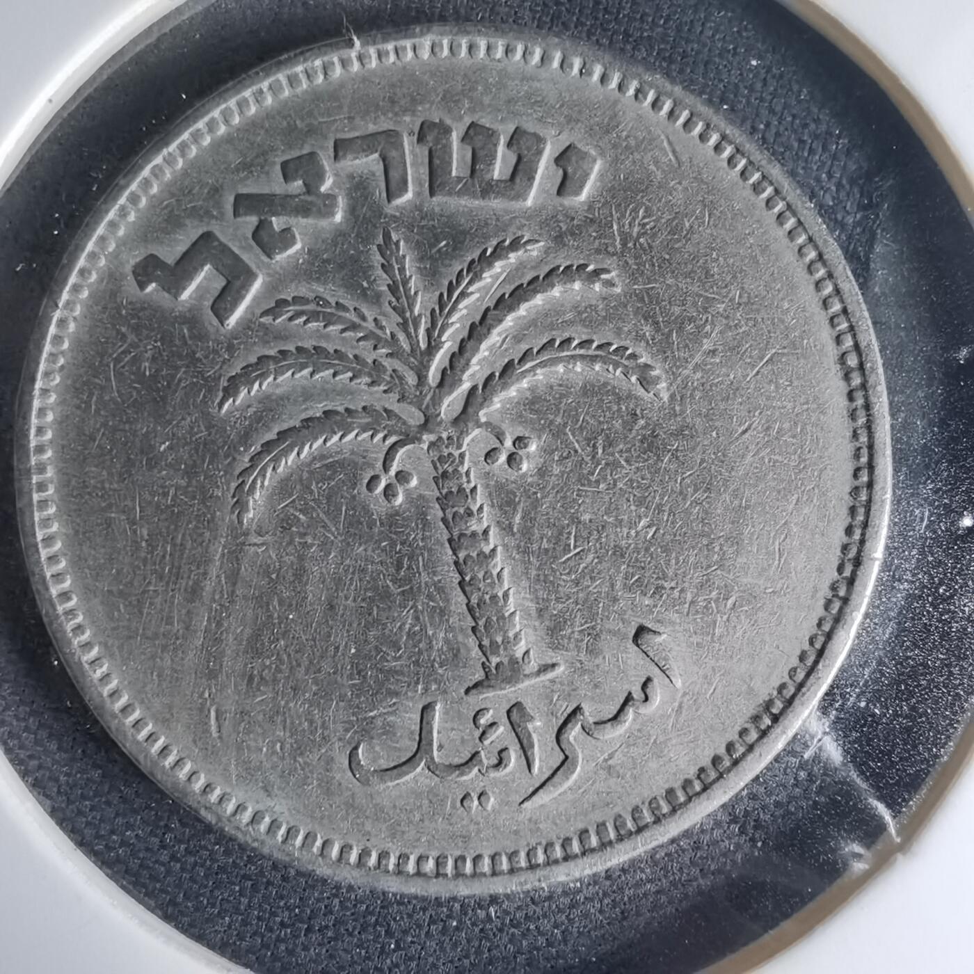 沼泽如烟--第1013场