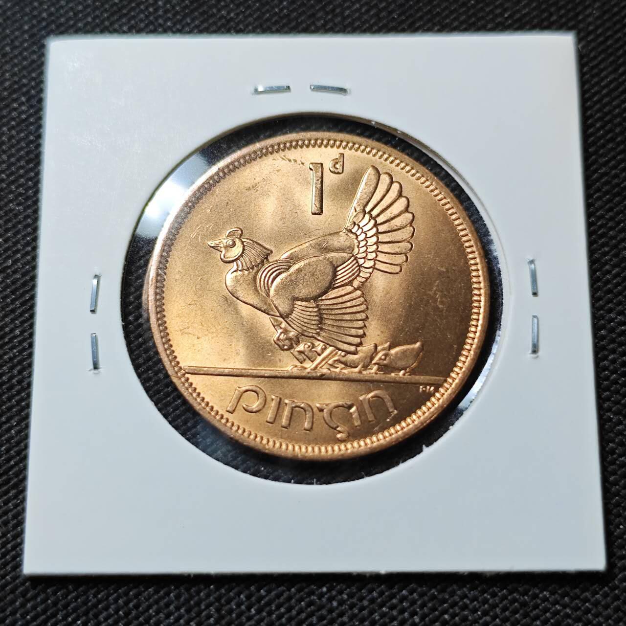 KK钱币收藏小铺   第401期 2月预留时间 周末发货  1968爱尔兰1便士母鸡铜币 好品