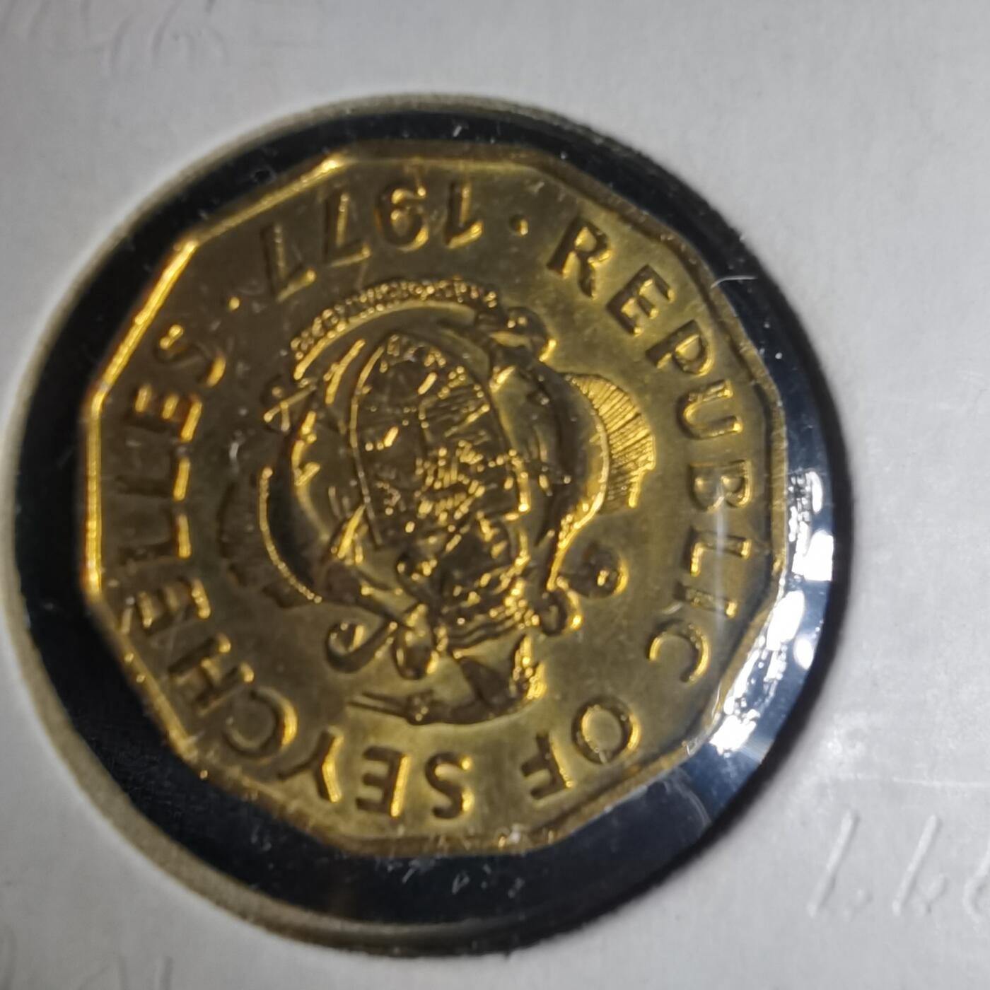 沼泽如烟--第1013场