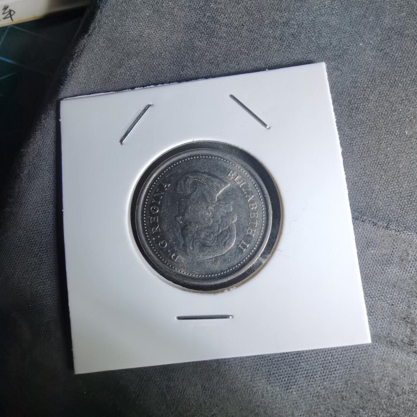 沼泽如烟--第1012场