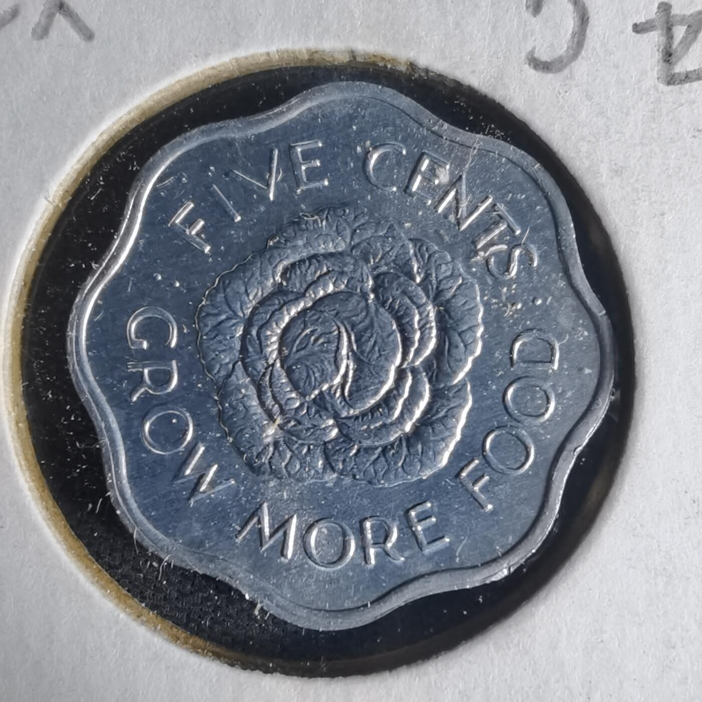 沼泽如烟--第1013场