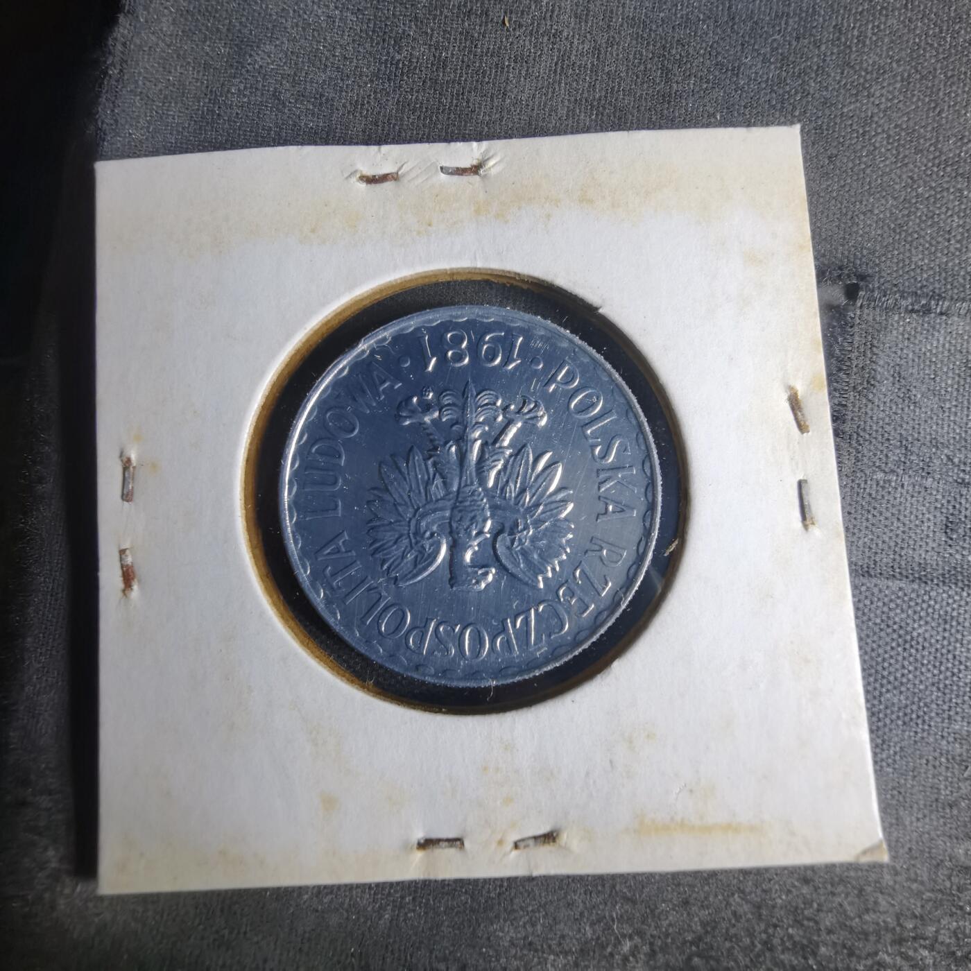 沼泽如烟--第1013场