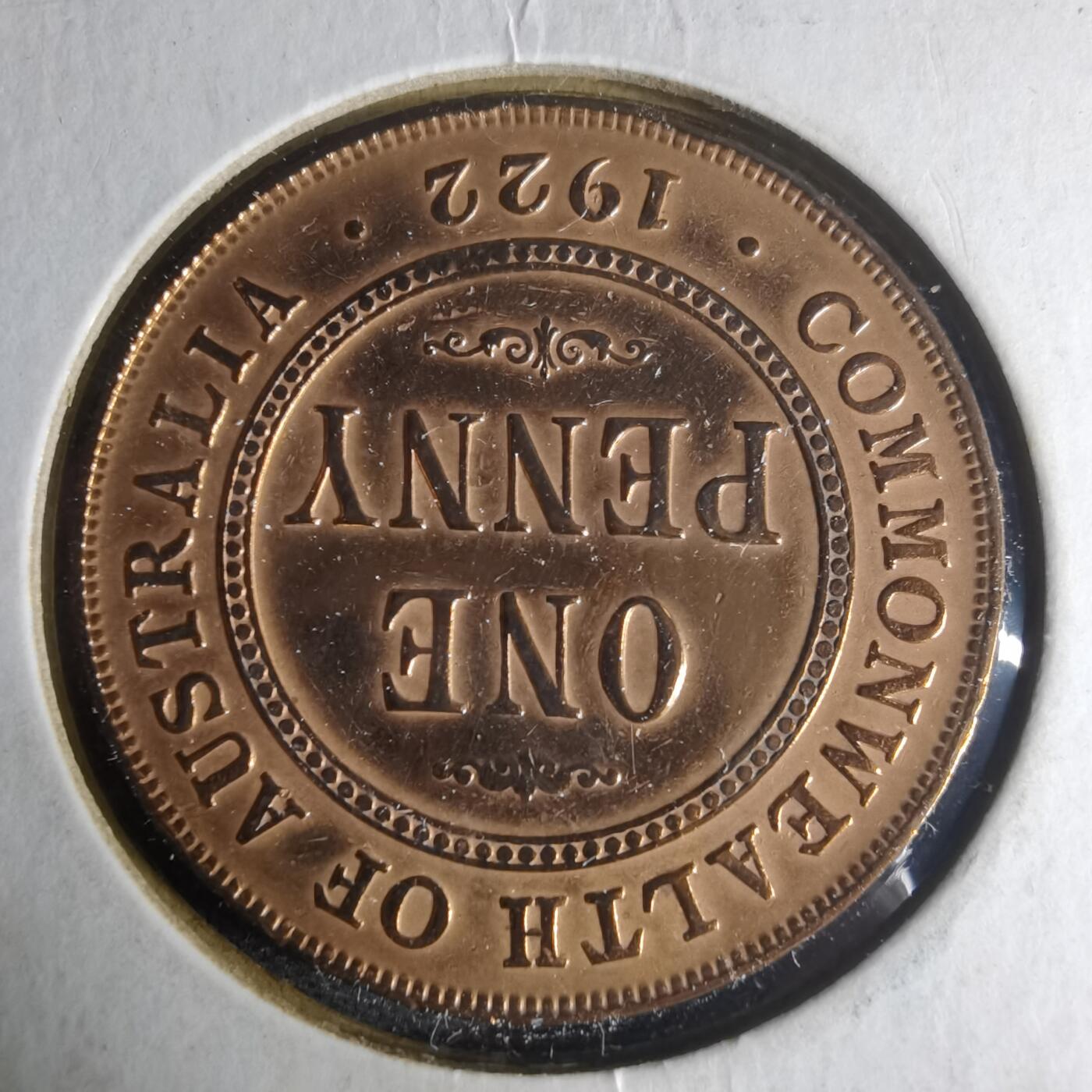 沼泽如烟--第1013场