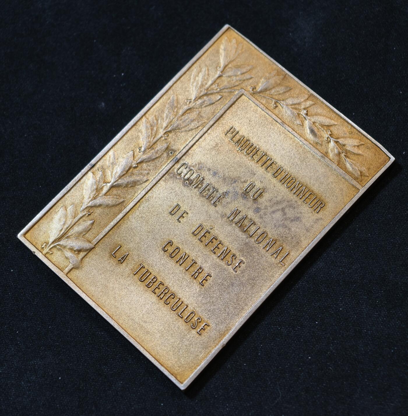 甄臻铺-世界币章拍卖（第53期），甄品场拍品征集中，送拍享返佣金等优惠多多 1930年法国国家肺结核防治委员会颁发的鎏金银章，重82.8克，尺寸68.8毫米 x 50.8毫米，野猪头菱形ARGENT边铭