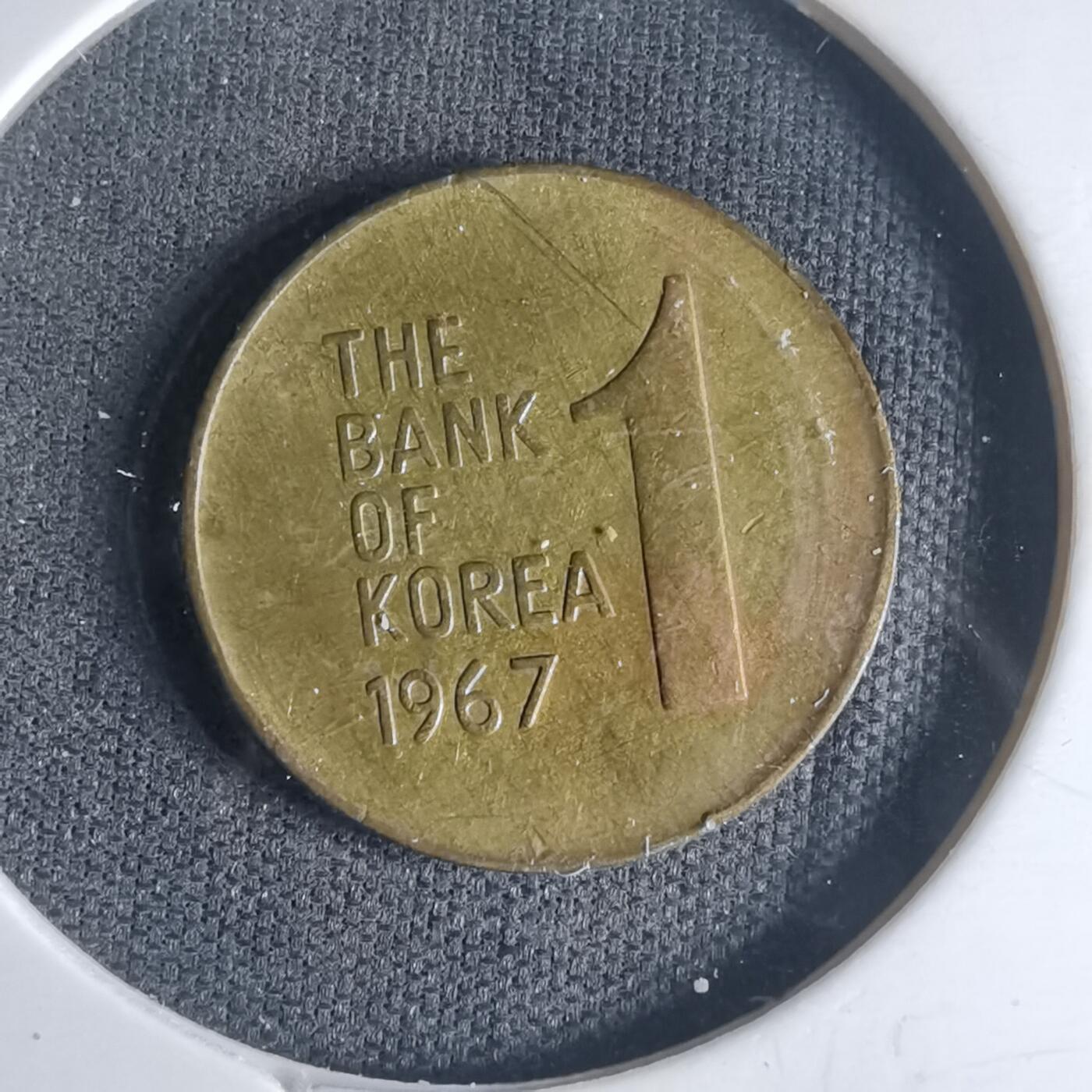 沼泽如烟--第1013场