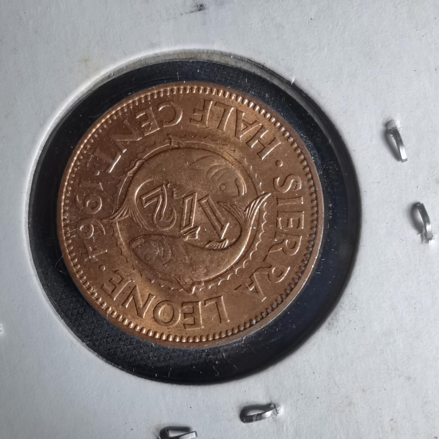 沼泽如烟--第1012场