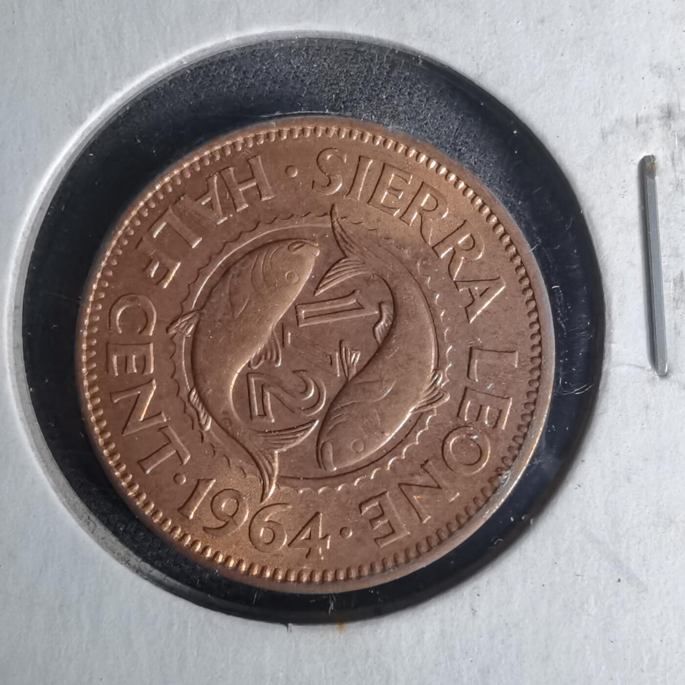 沼泽如烟--第1012场