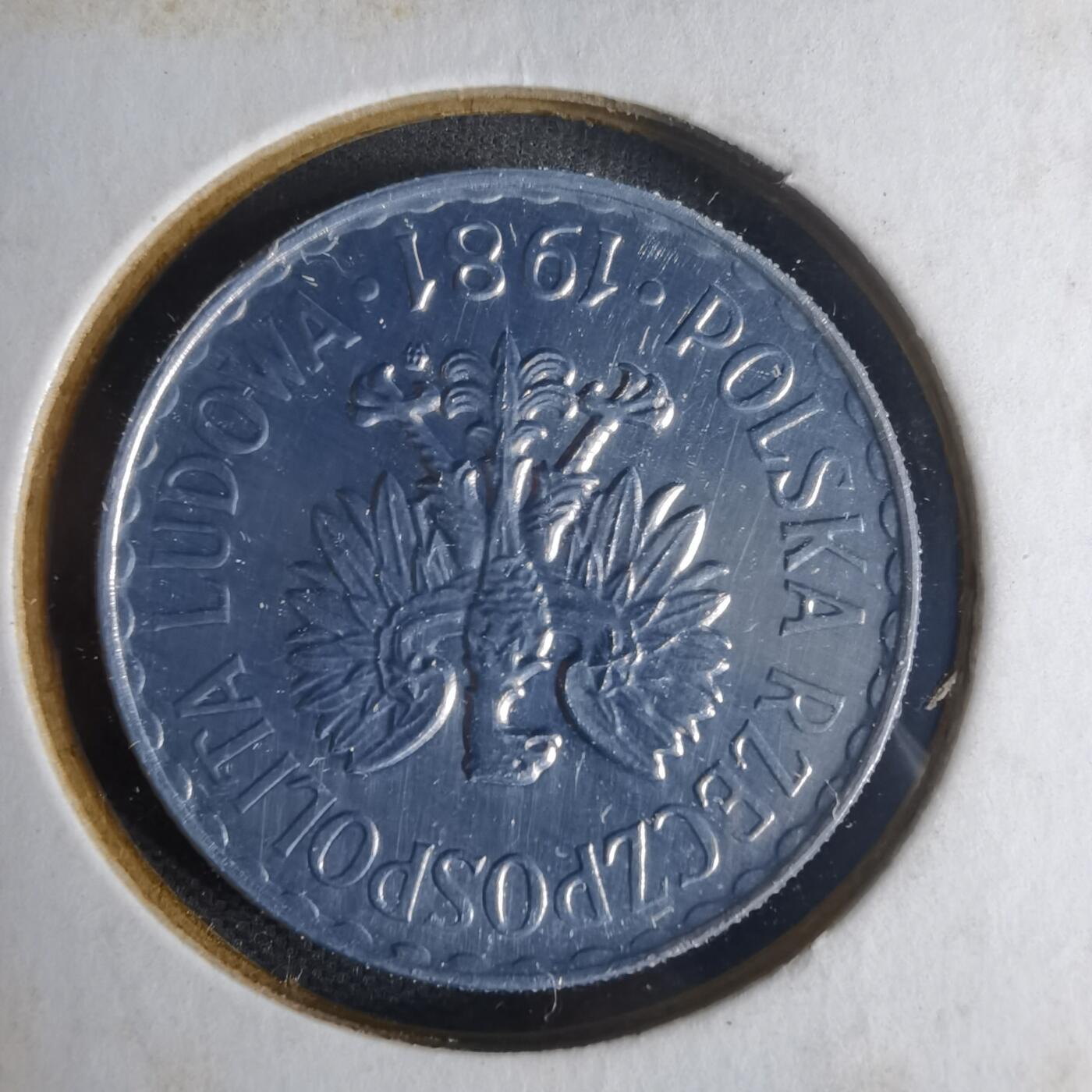 沼泽如烟--第1013场