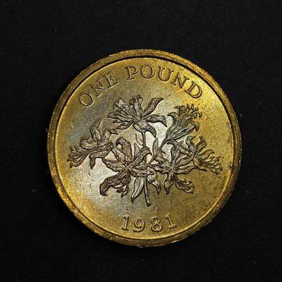 【淘币小摊】实时拍第八百七十六拍   散币场    每周一统一发货 - 根西1981年一镑铜币