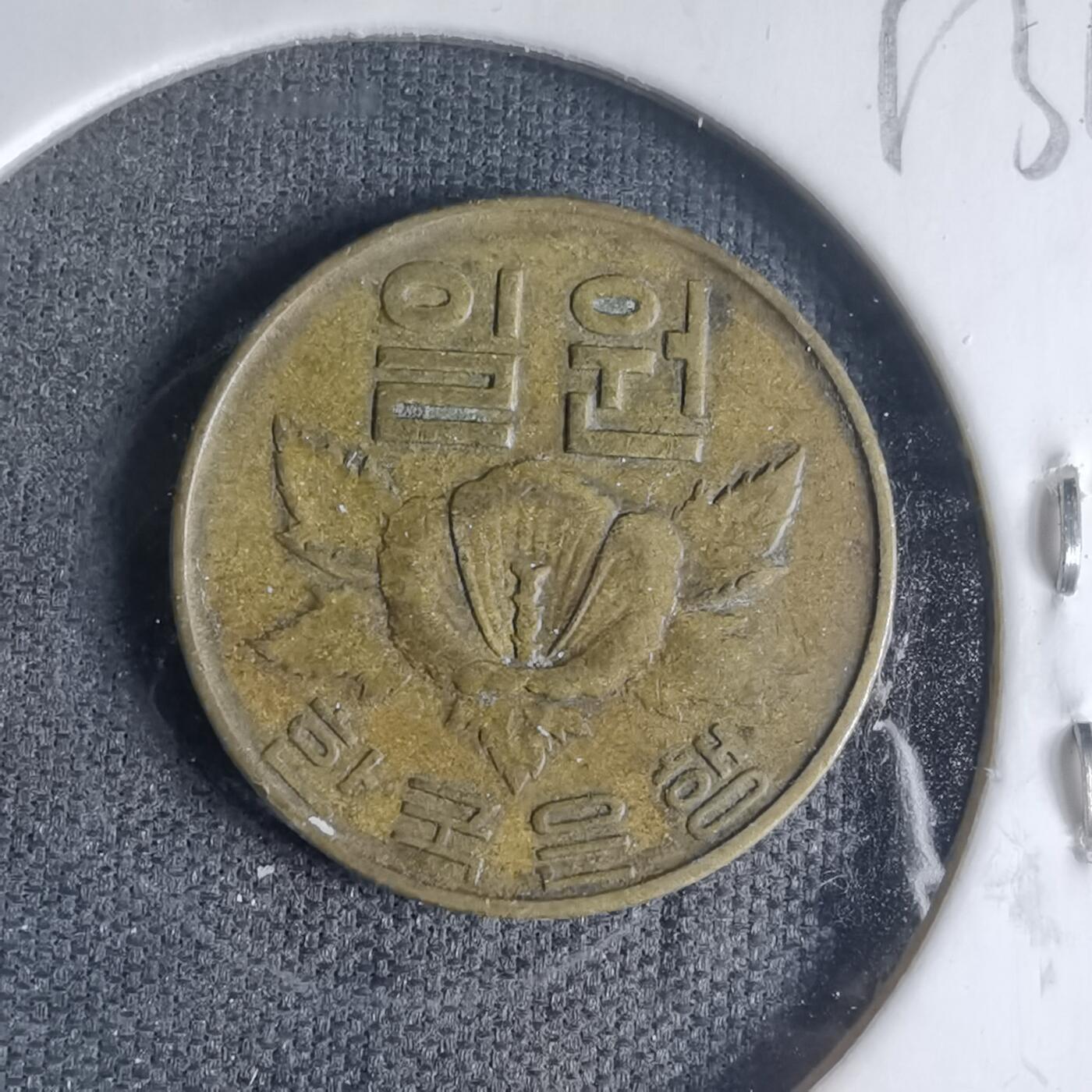 沼泽如烟--第1013场