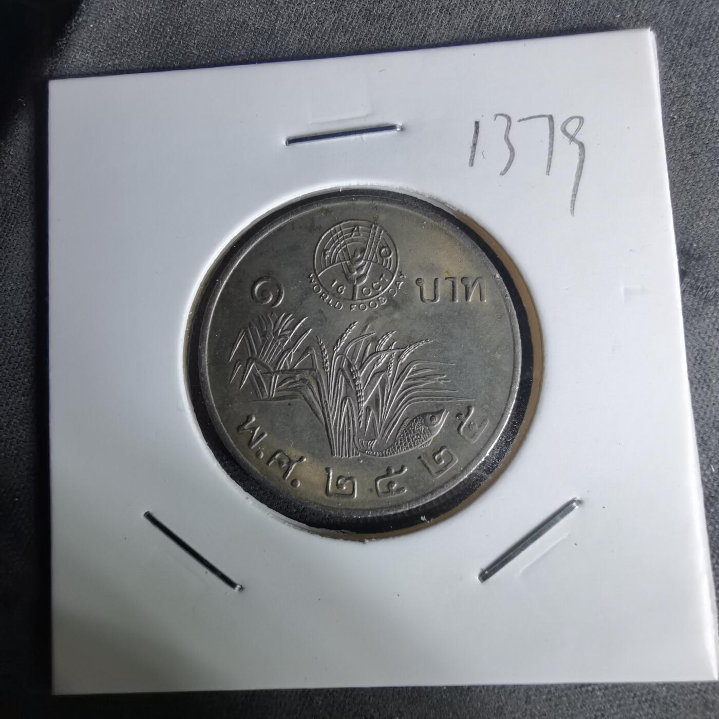 沼泽如烟--第1012场 泰国