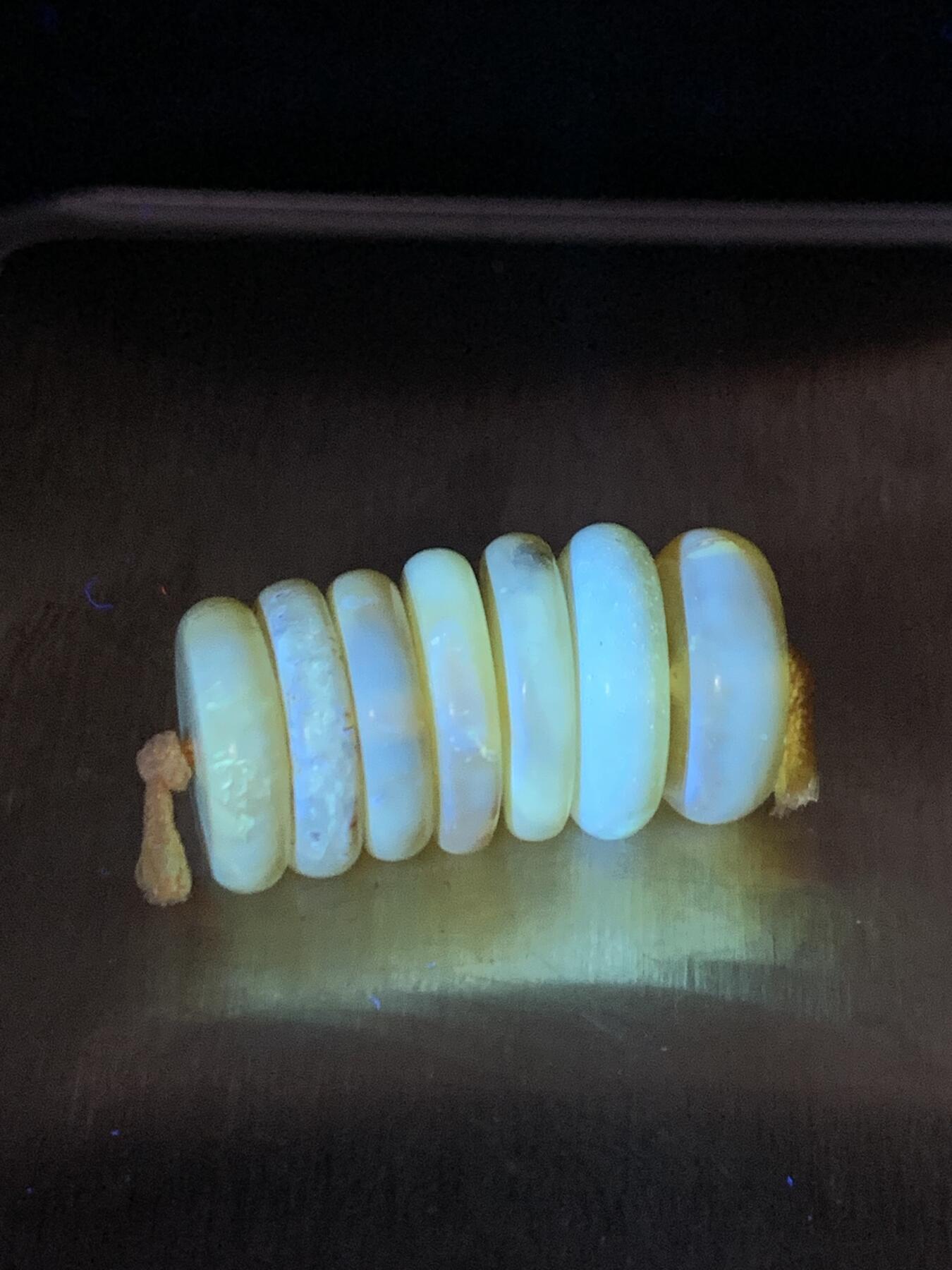 精美天然乌克兰蜜蜡随形隔片一组，