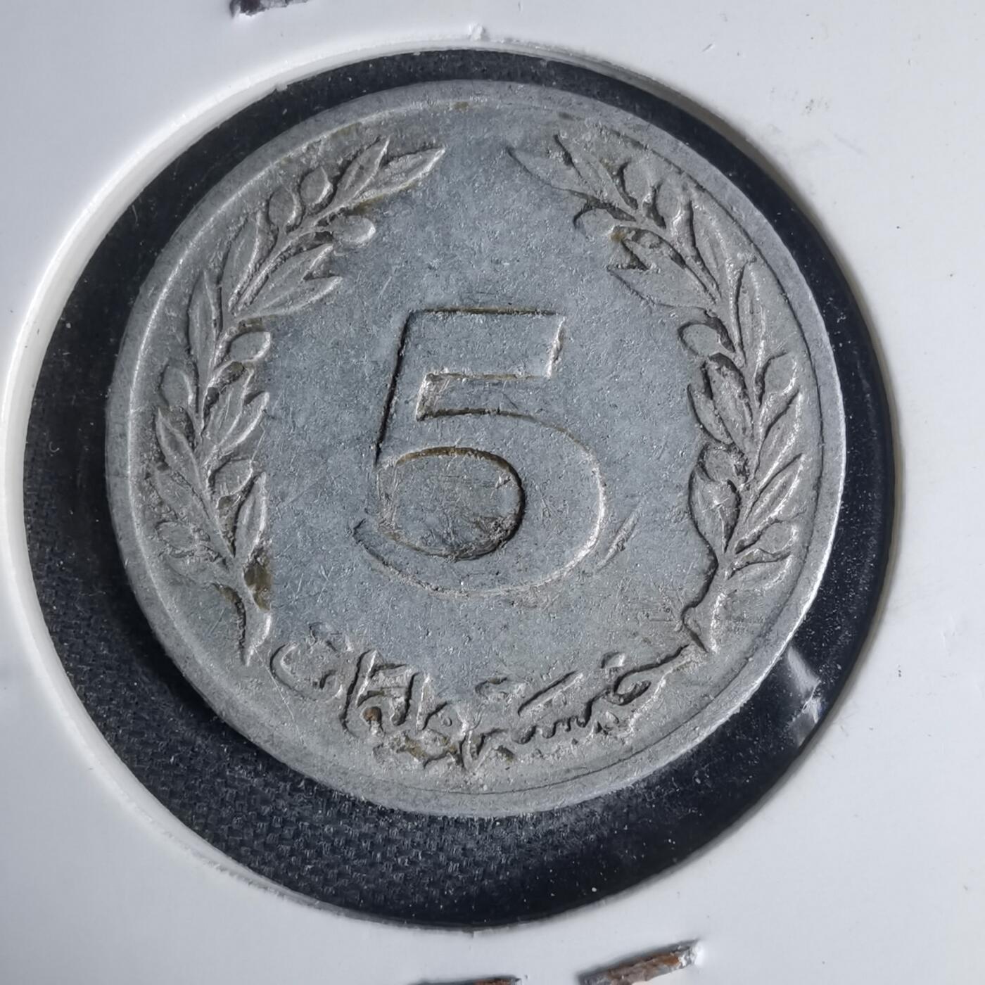 沼泽如烟--第1013场