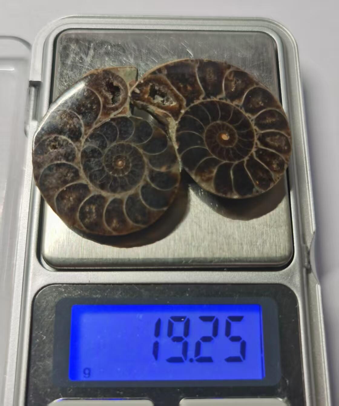 七河·世界世界币章杂件小拍（总第40期） 藏家出品X775（12）马达加斯加中生代菊石化石对开品 本件拍品由合作藏家负责邮寄