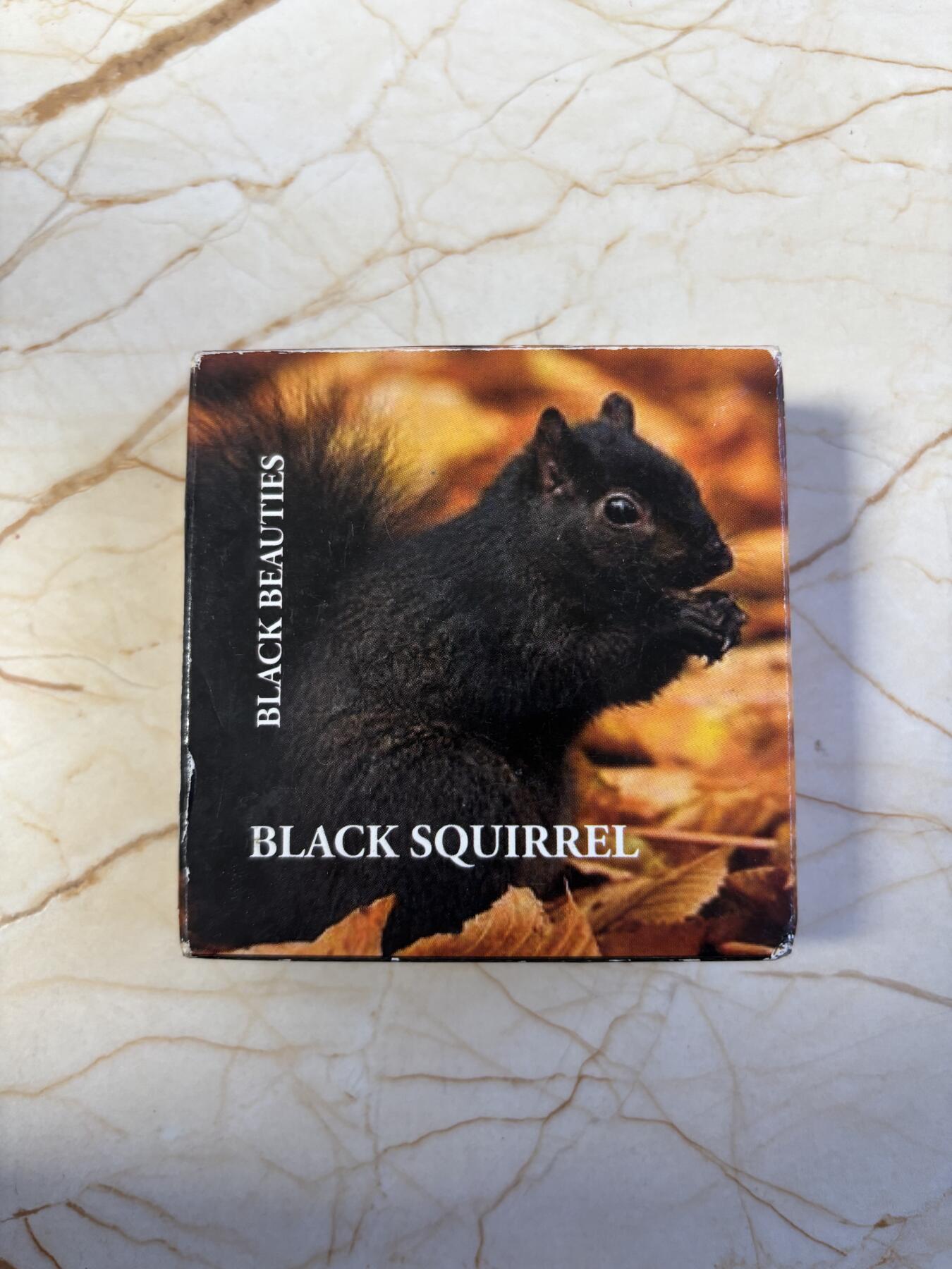 第192期拍卖 库克2013年珍稀动物黑松鼠彩色精制银币，20克，925银，发行999枚