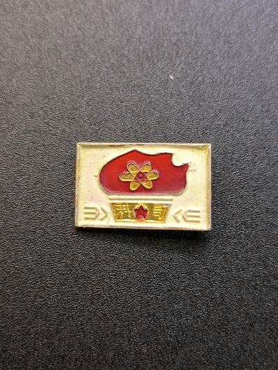 云宸嘉赏-勋臻精藏⭐️年后精品专拍场次🎖 - 上海科技局（科司）“一月风暴”革造派性章