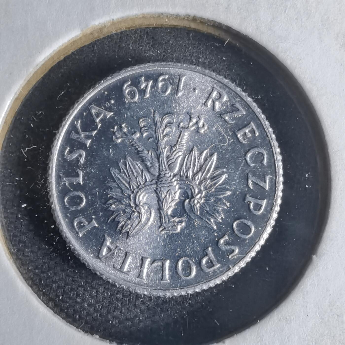 沼泽如烟--第1013场