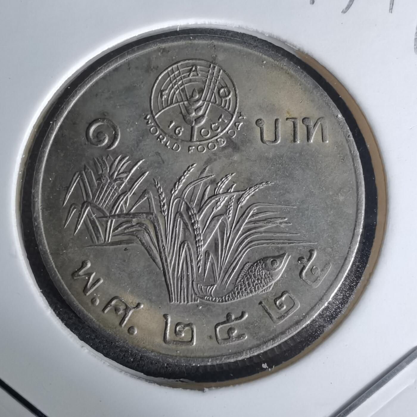 沼泽如烟--第1012场 泰国