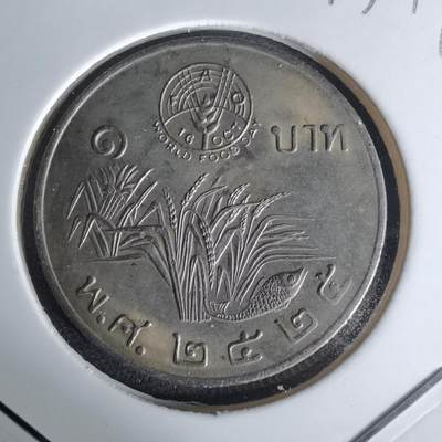 沼泽如烟--第1012场 - 泰国