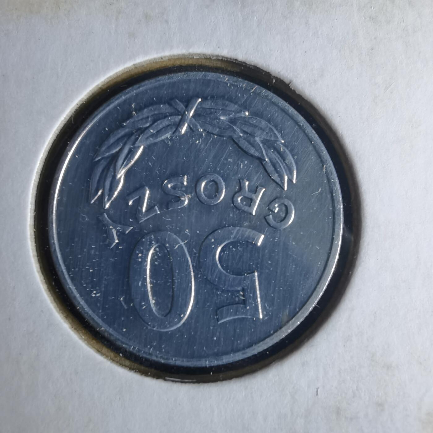 沼泽如烟--第1013场