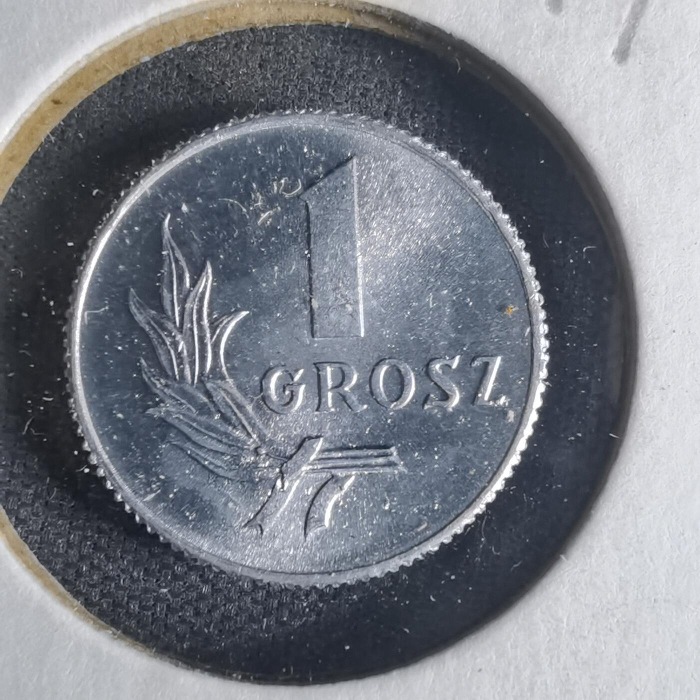 沼泽如烟--第1013场