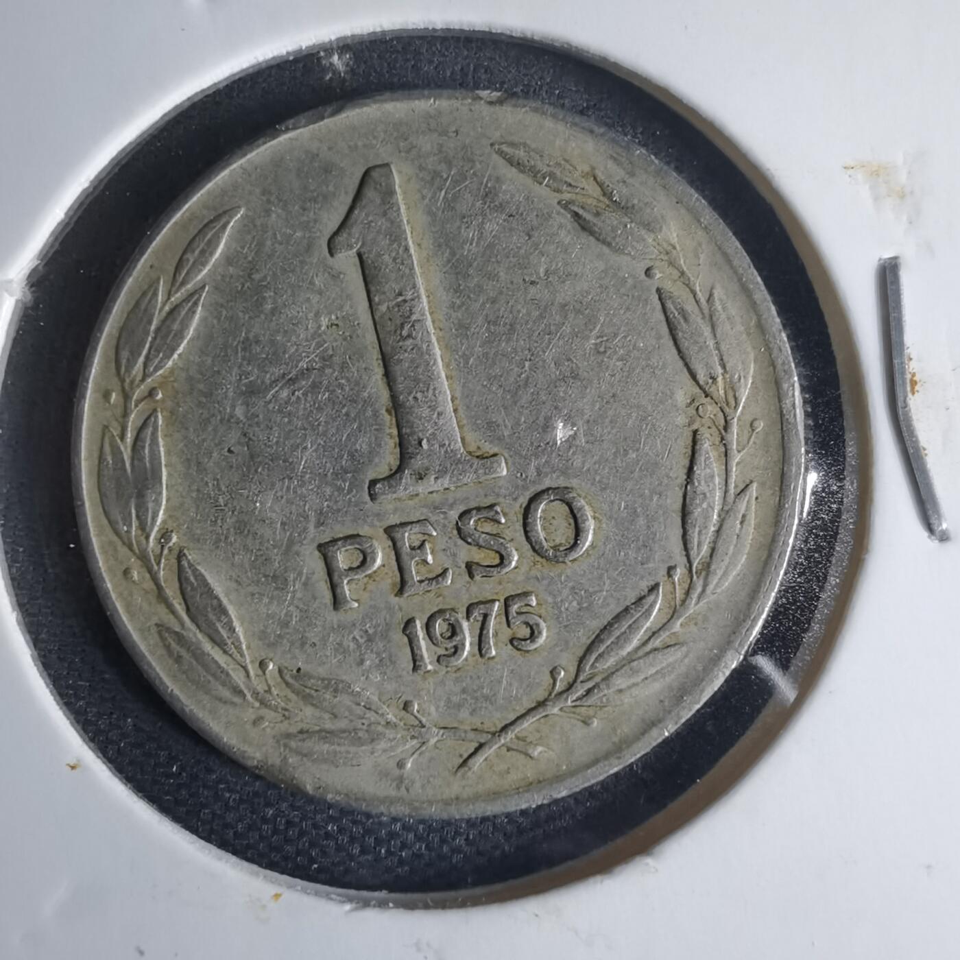 沼泽如烟--第1013场