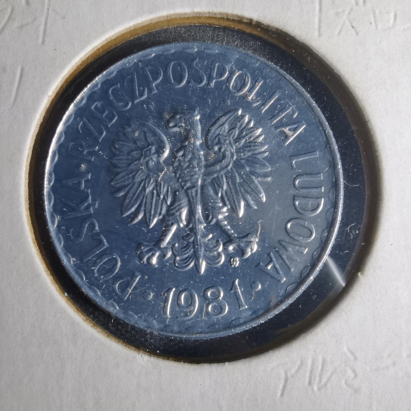 沼泽如烟--第1013场