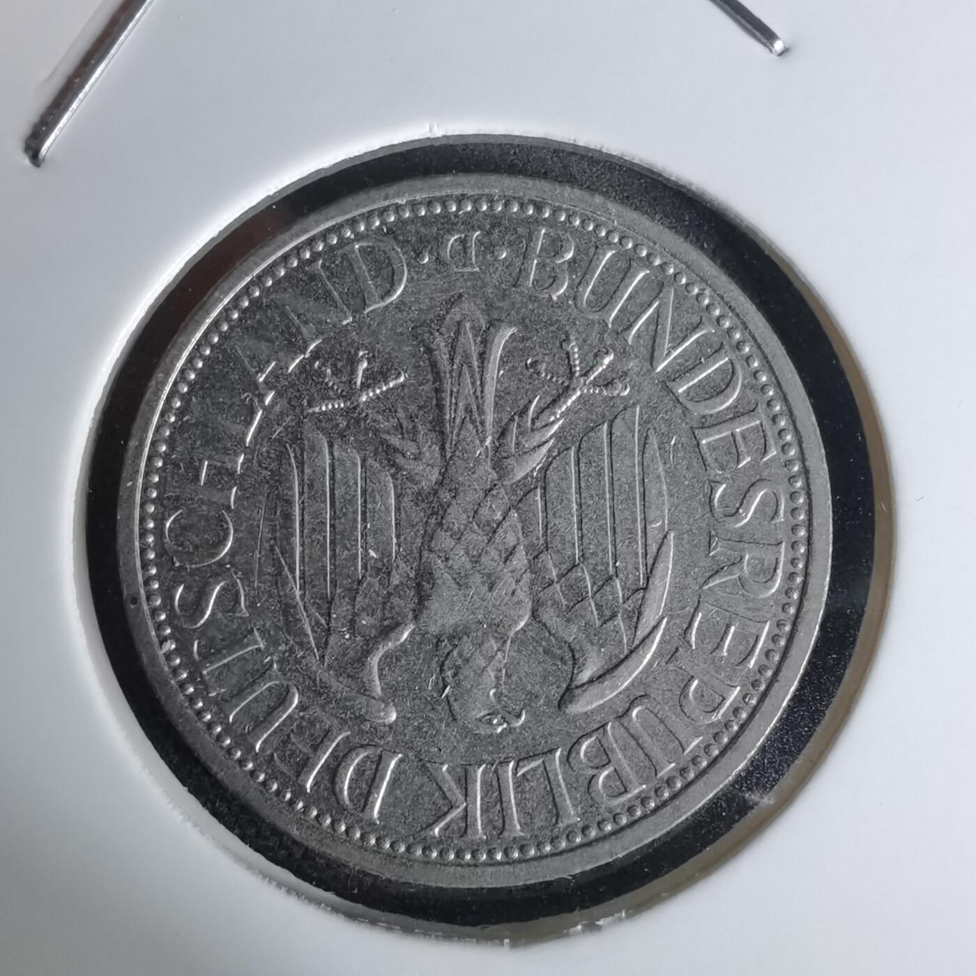 沼泽如烟--第1012场