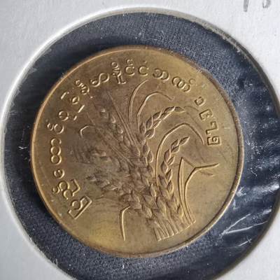 沼泽如烟--第1012场 - 缅甸