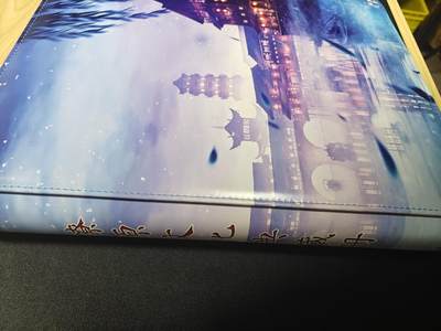 天玑星卡拍第176期《3.5周四截拍》持续收拍收评中 满赠卡需备注 燎原卡牌 九宫活页卡册 有使用痕迹介意勿拍