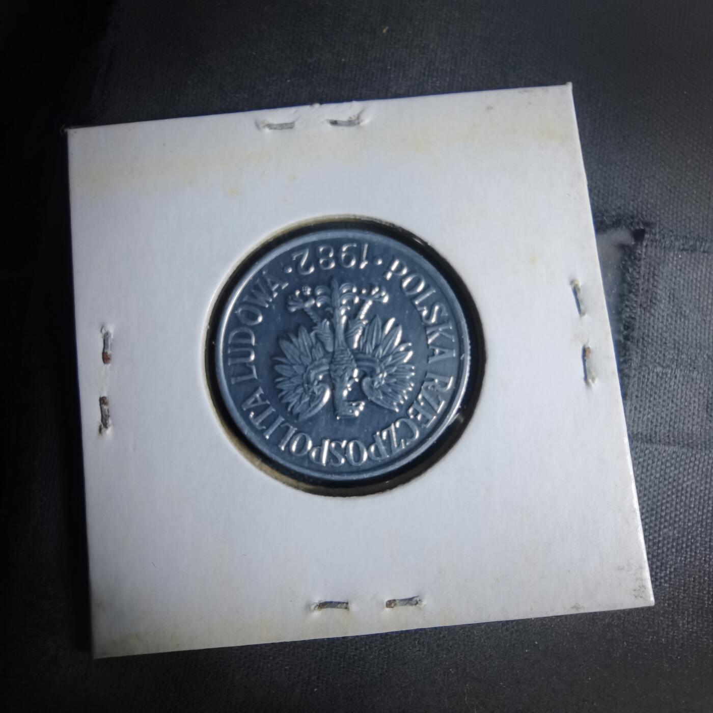 沼泽如烟--第1013场