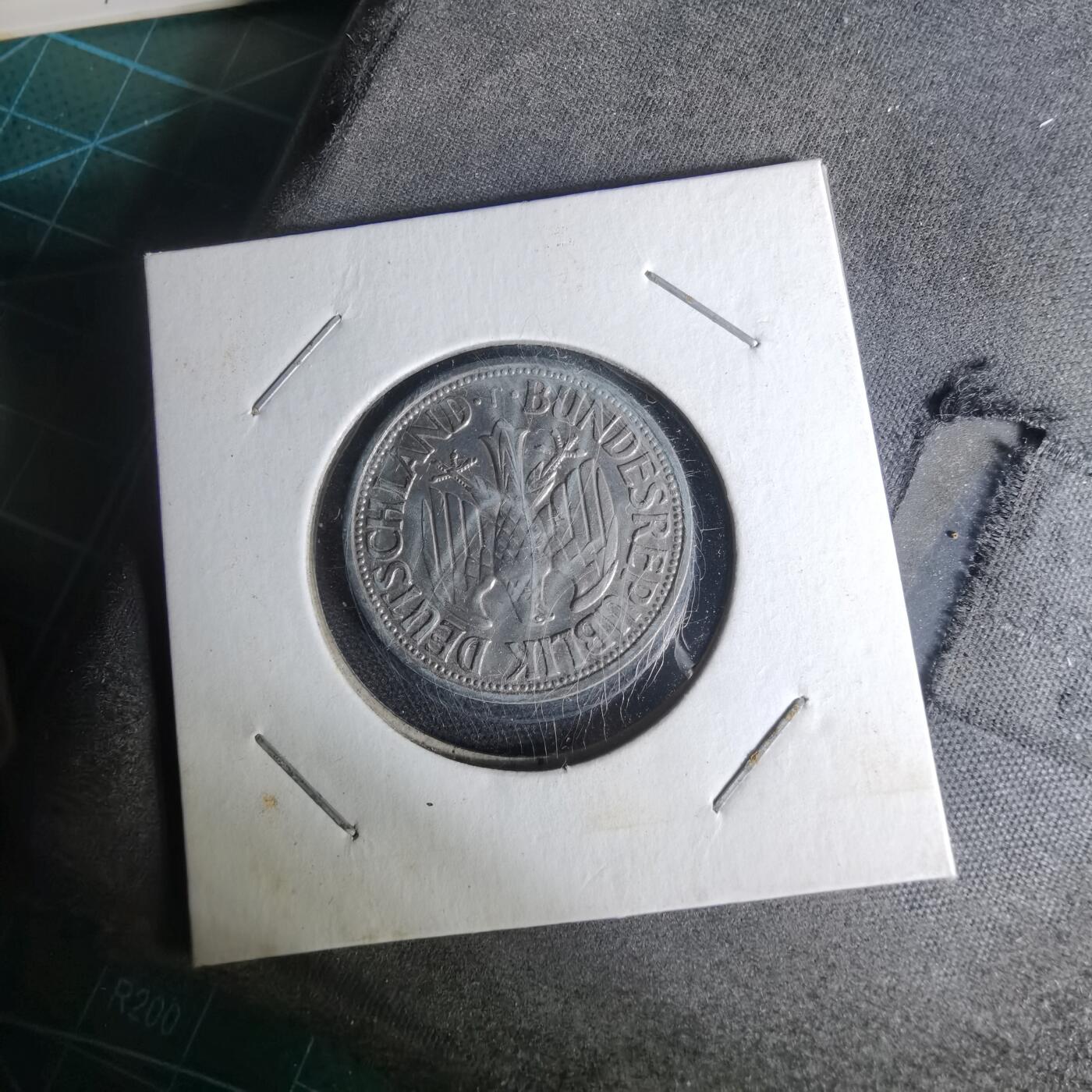 沼泽如烟--第1012场