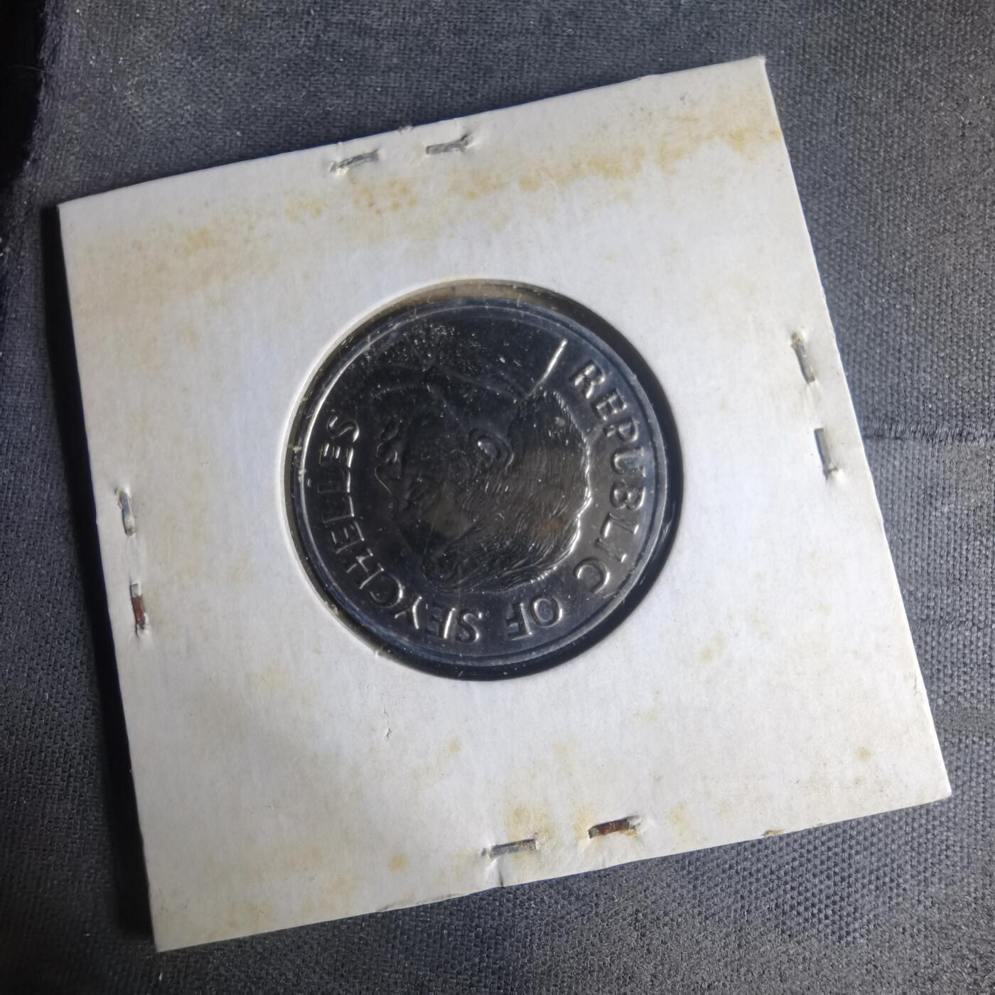 沼泽如烟--第1013场