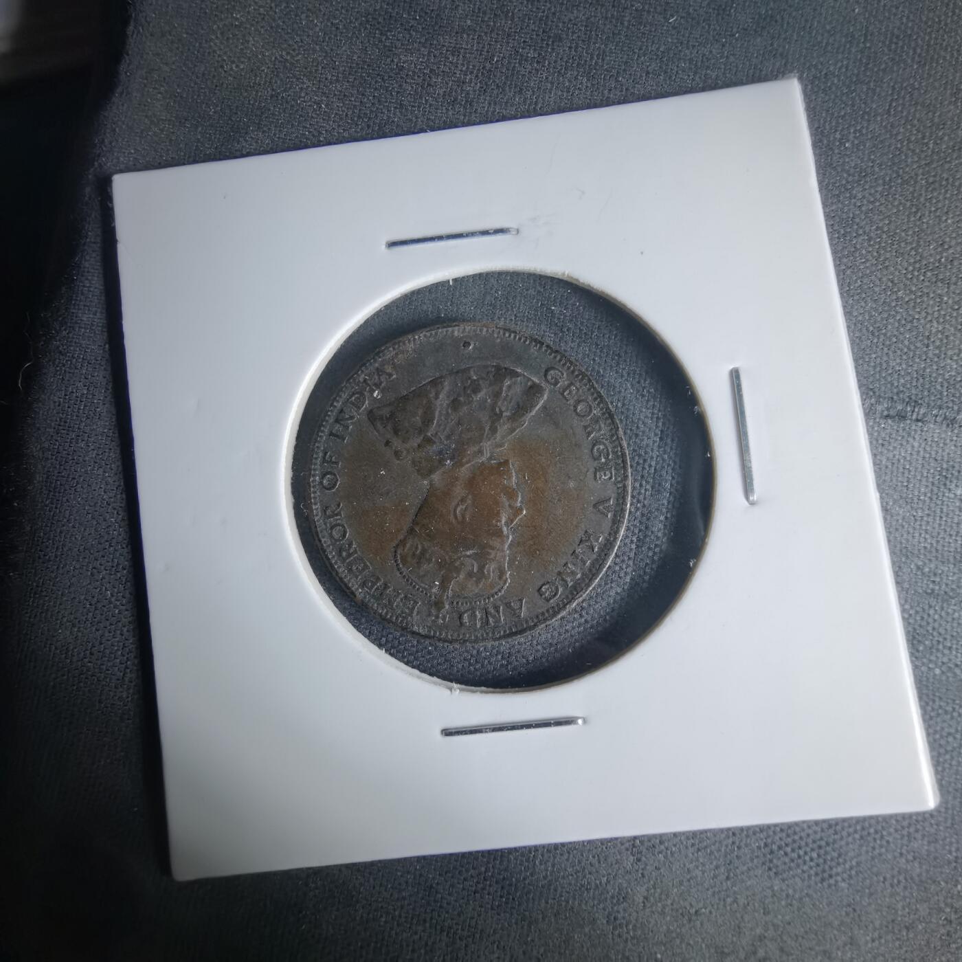 沼泽如烟--第1013场