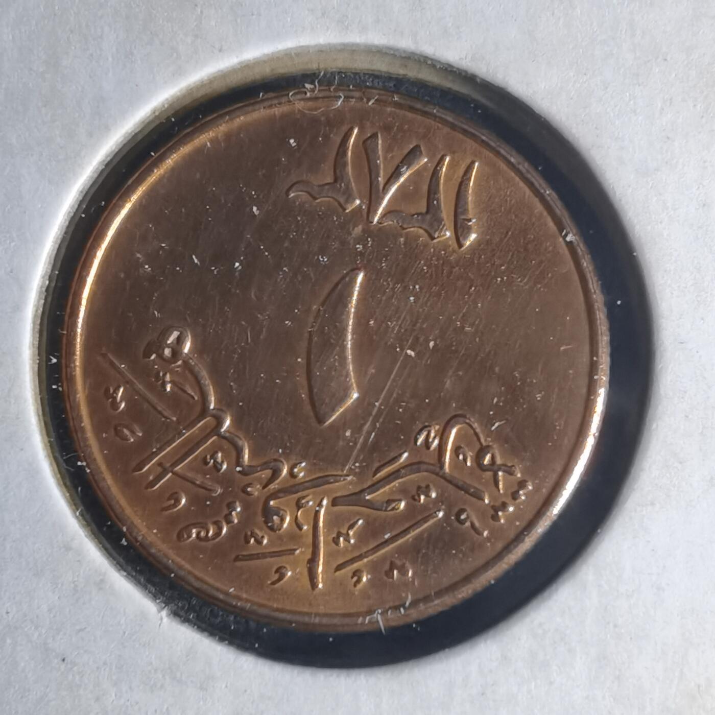 沼泽如烟--第1013场 沙特红铜