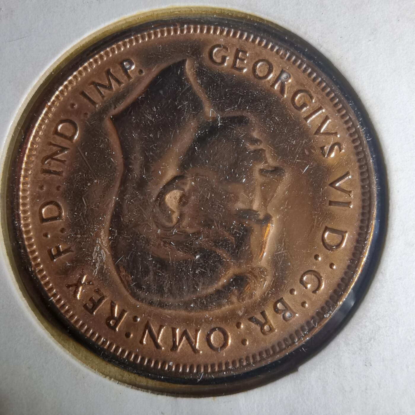 沼泽如烟--第1013场