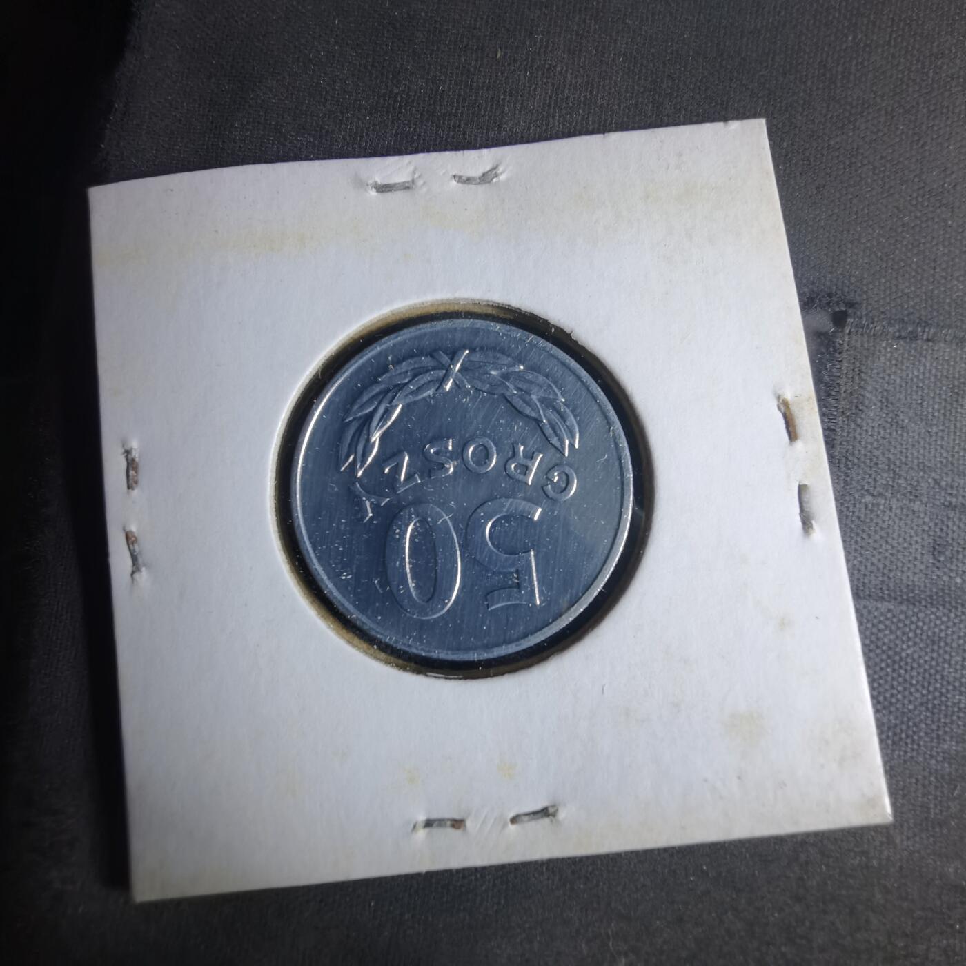 沼泽如烟--第1013场