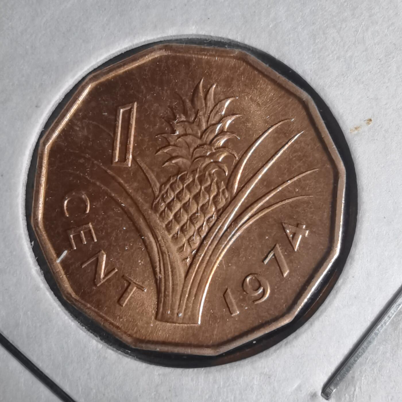 沼泽如烟--第1013场 斯威士兰1974年一分