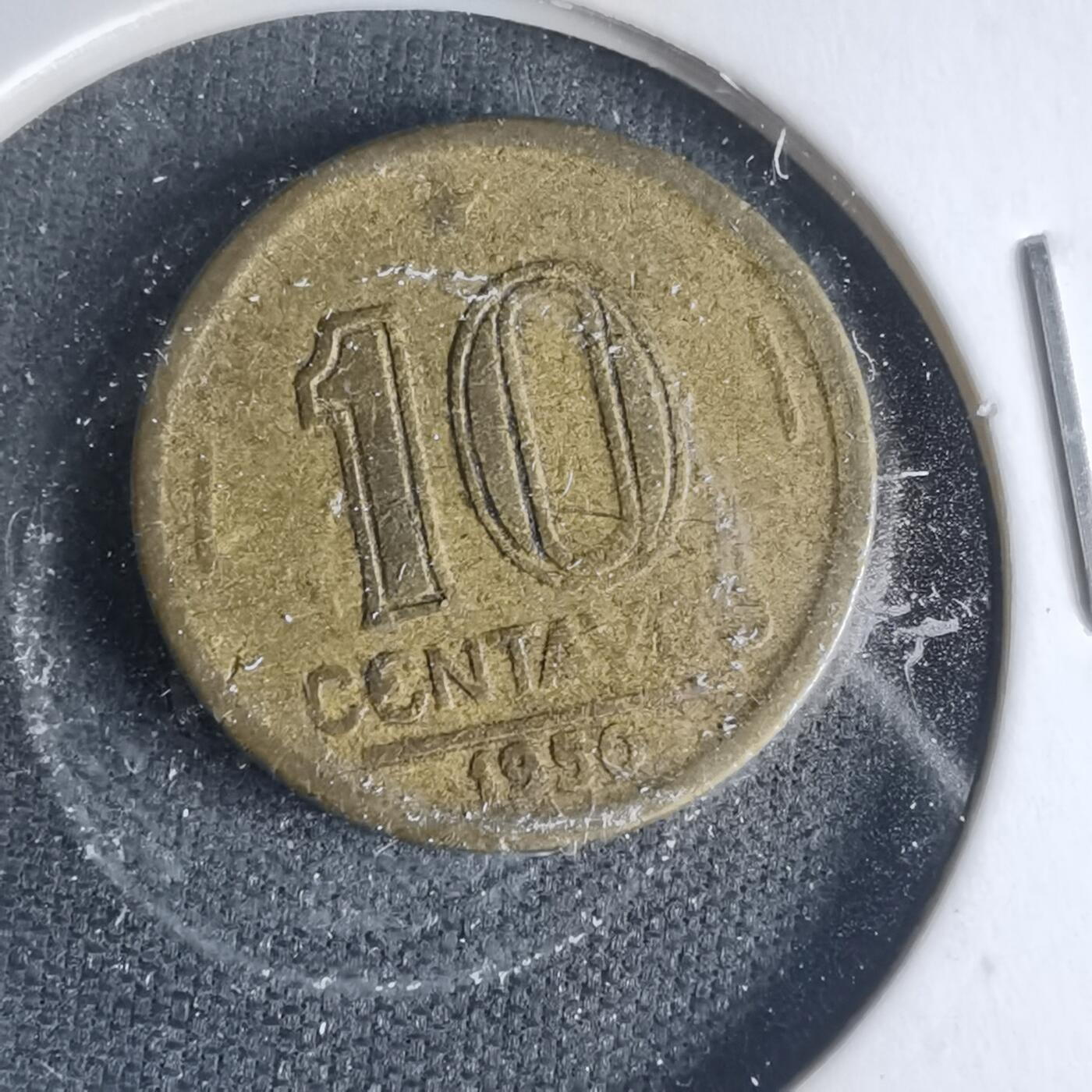 沼泽如烟--第1013场