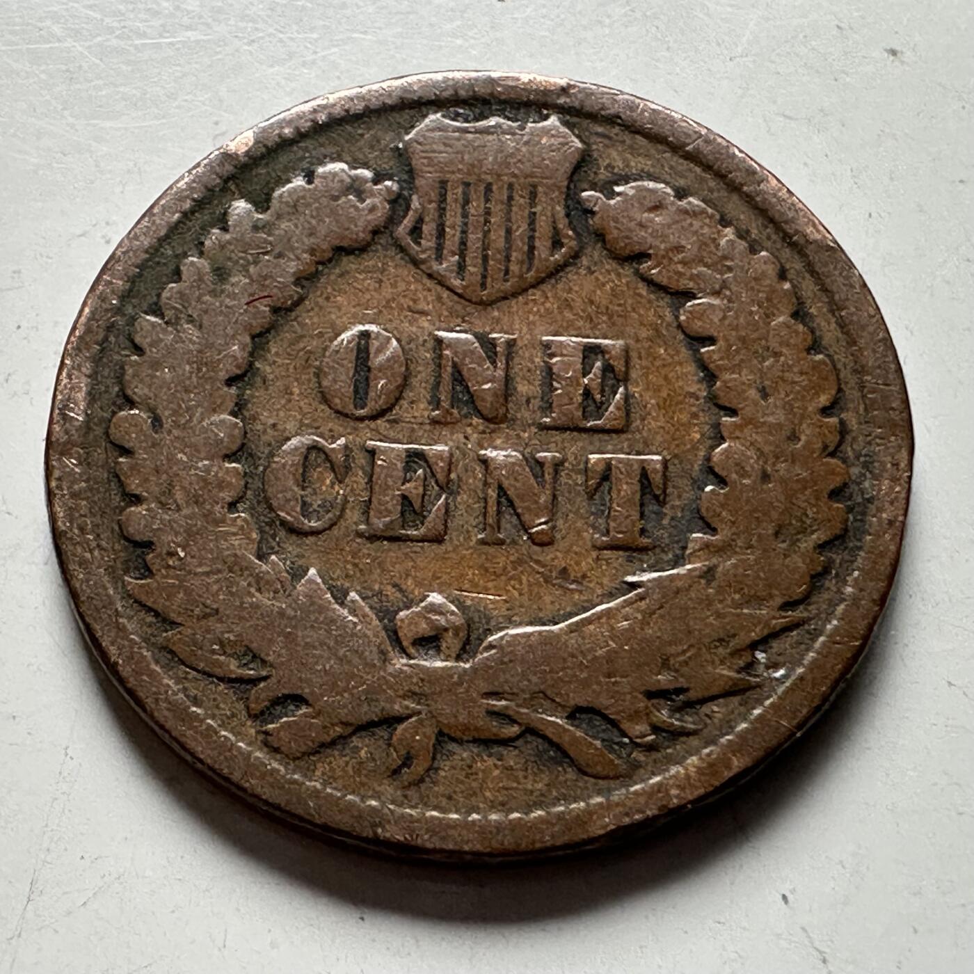 🌹外币初藏🌹🐯2026年第24场  每周二四六晚8️⃣点 接代拍