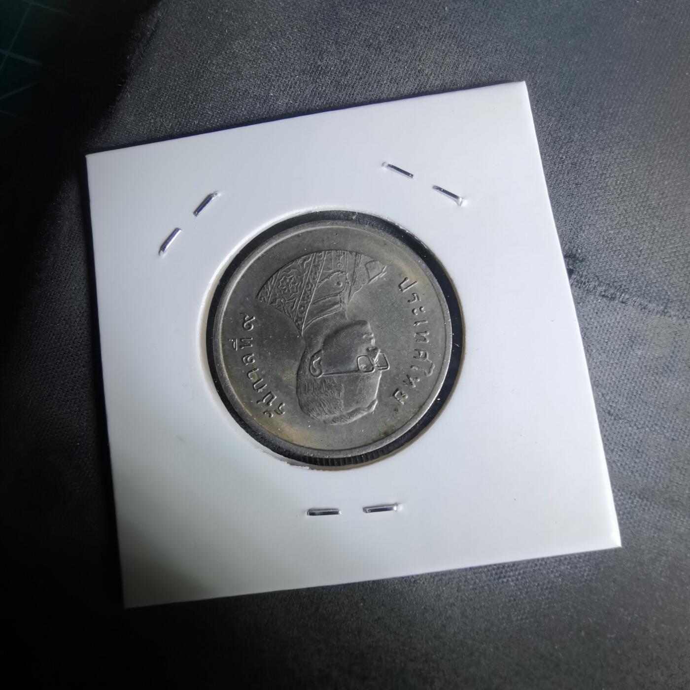 沼泽如烟--第1012场 泰国