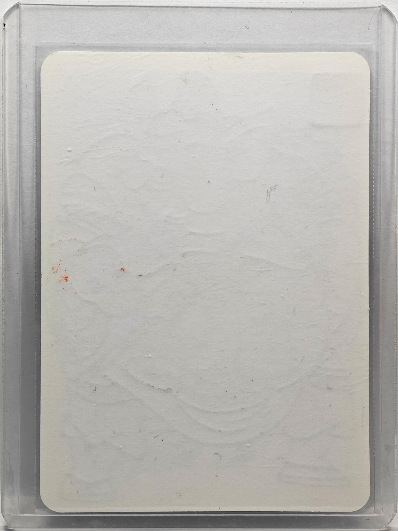 白泽拍卖卡牌手绘专场第33期（去岁千般皆如愿 今年万事定称心） 2025 赵洛严手绘卡 猪八戒  卡夹封装