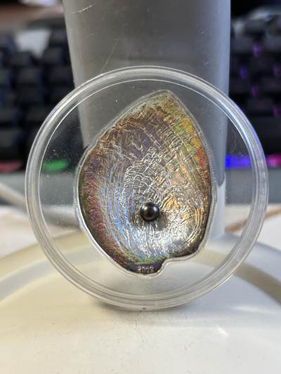 第192期拍卖 - 帕劳2012年彩鲍含珠精制鲍鱼贝壳幻彩镶珍珠银币，999银，25克，发行2000枚